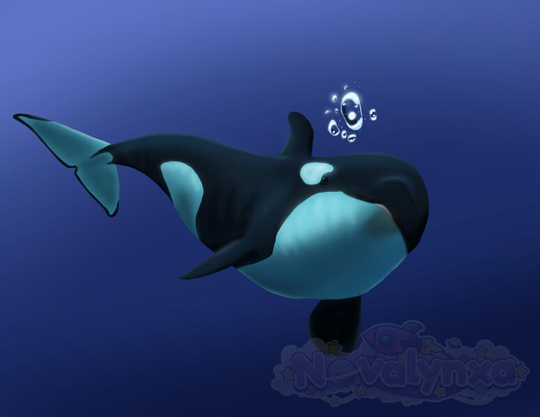 Orca Digital Painting
