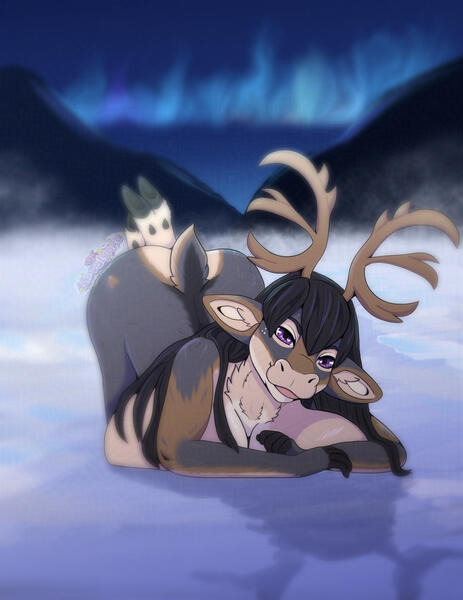 Caribou Lights