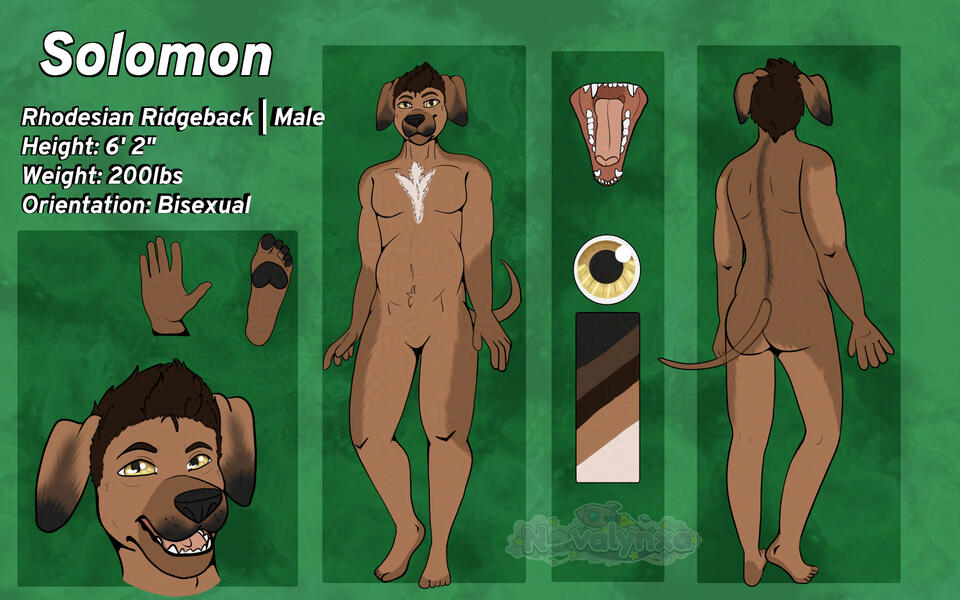 Solomon Reference Sheet