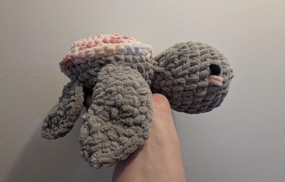 Small Turtle