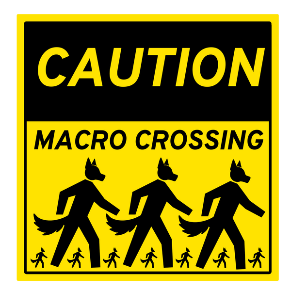 Macro Crossing