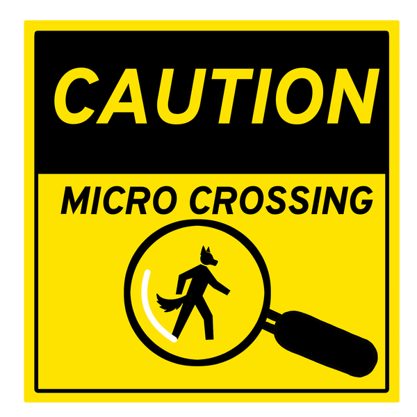 Micro Crossing
