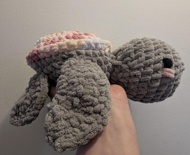 Small Turtle
